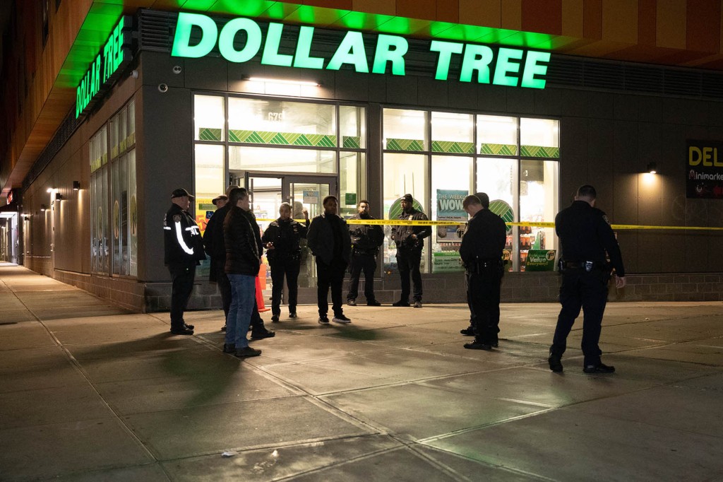 nyc-dollar-tree-worker-shot-during-attempted-robbery,-cops-say
